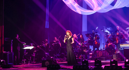 Fiorella Mannoia in concerto, foto n. 1/13