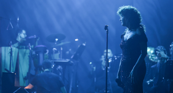 Fiorella Mannoia in concerto, foto n. 10/13