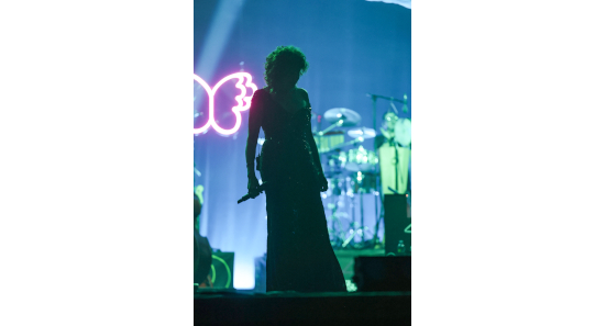 Fiorella Mannoia in concerto, foto n. 11/13