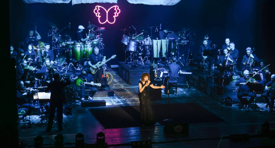 Fiorella Mannoia in concerto, foto n. 2/13