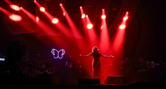 Fiorella Mannoia in concerto, foto n. 6/13