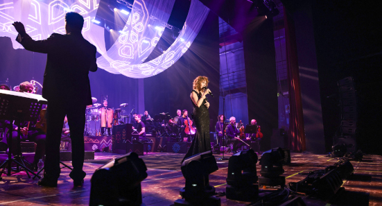 Fiorella Mannoia in concerto, foto n. 7/13