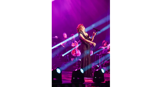Fiorella Mannoia in concerto, foto n. 9/13